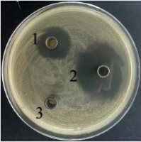 1661823340248138.png image.png