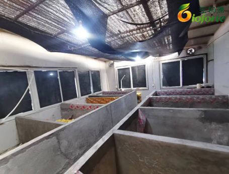 1696554361353733.png image.png