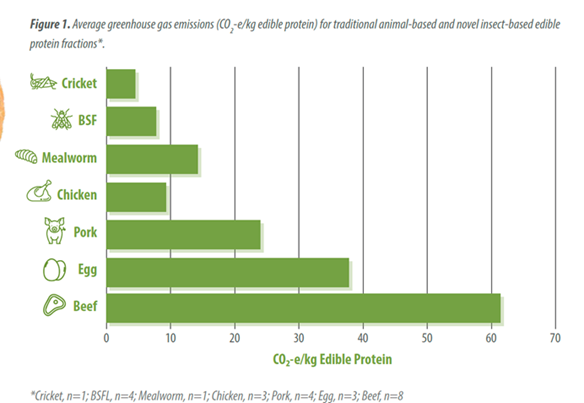 1696554502903793.png image.png