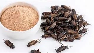 1727656515795433.jpg 2.jpg